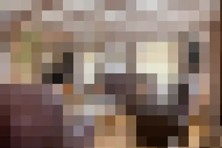 Hoge Broekstraat 3 Heeswijk-Dinther thumbnail 9