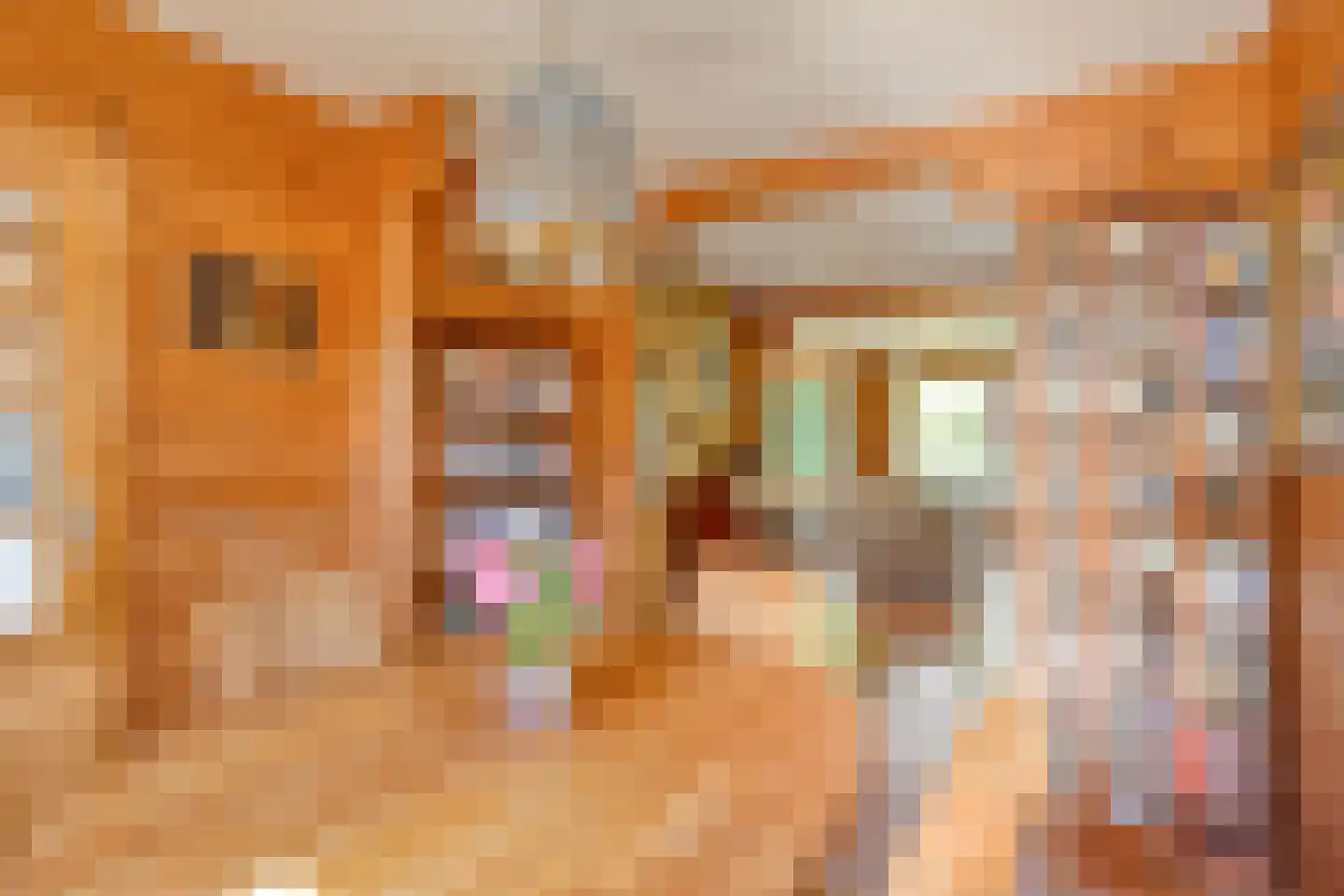 Hoge Bunder 25 Roermond thumbnail 20