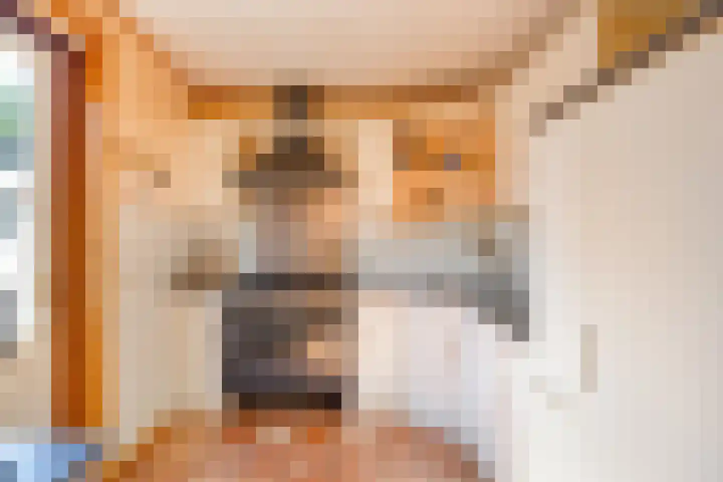 Hoge Bunder 25 Roermond thumbnail 21