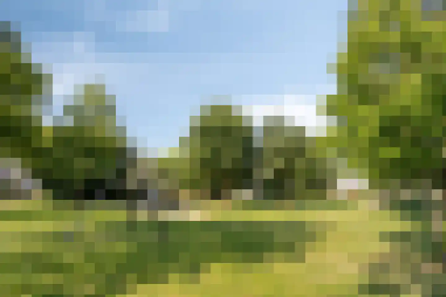 Hoge Bunder 25 Roermond thumbnail 41