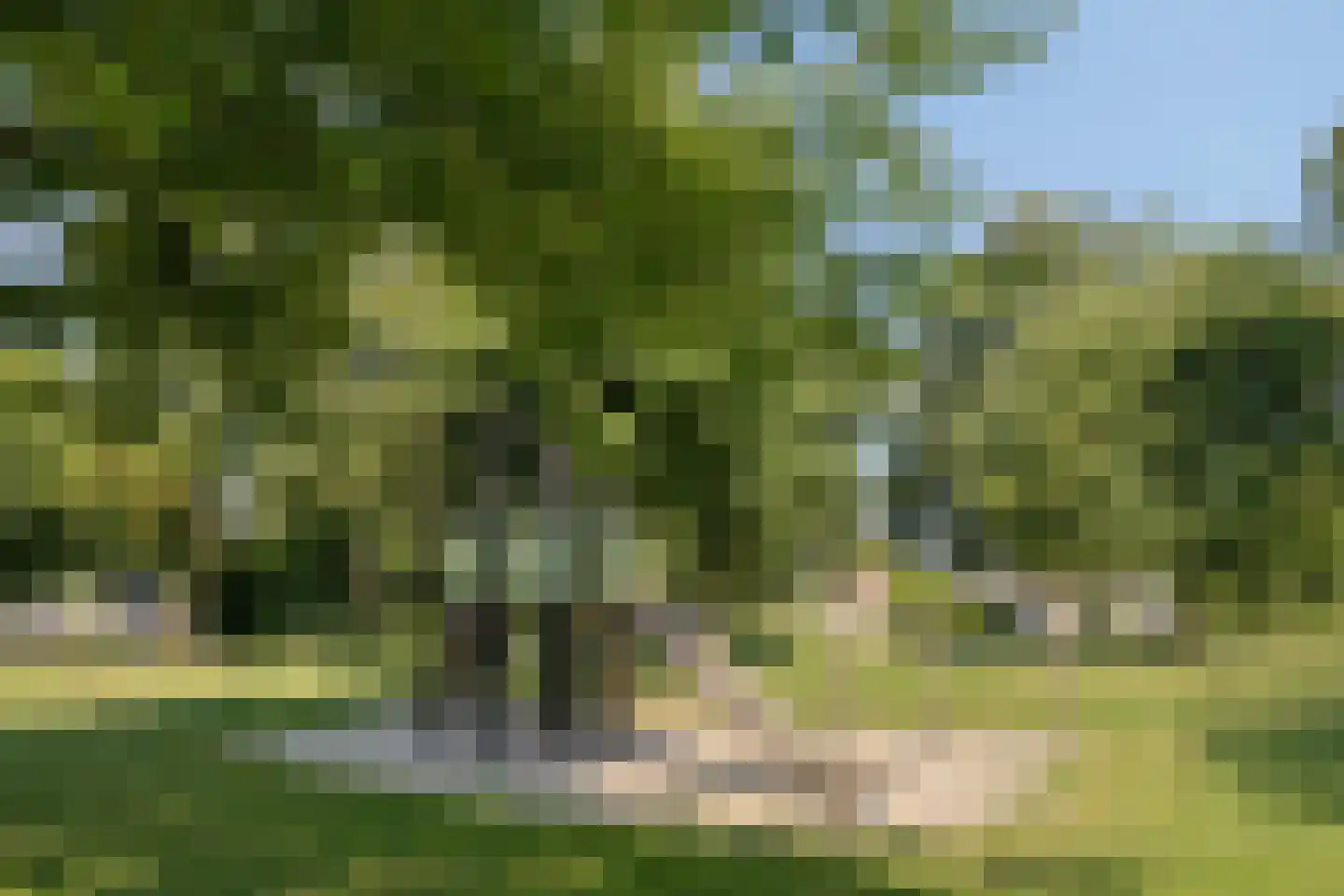 Hoge Bunder 25 Roermond thumbnail 42