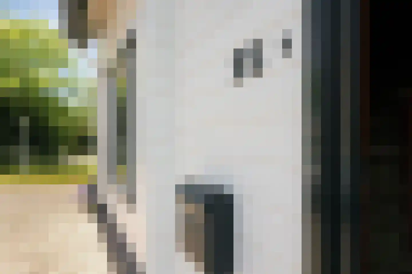 Hoge Bunder 25 Roermond thumbnail 8
