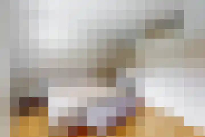 Hoge Bunder 5 Roermond thumbnail 12