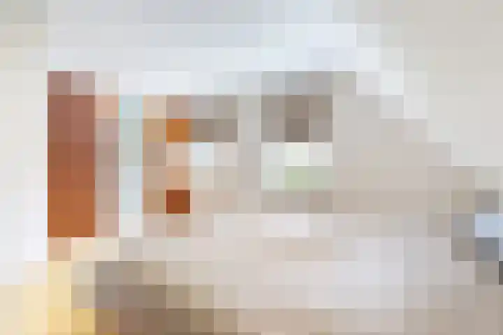 Hoge Bunder 5 Roermond thumbnail 13