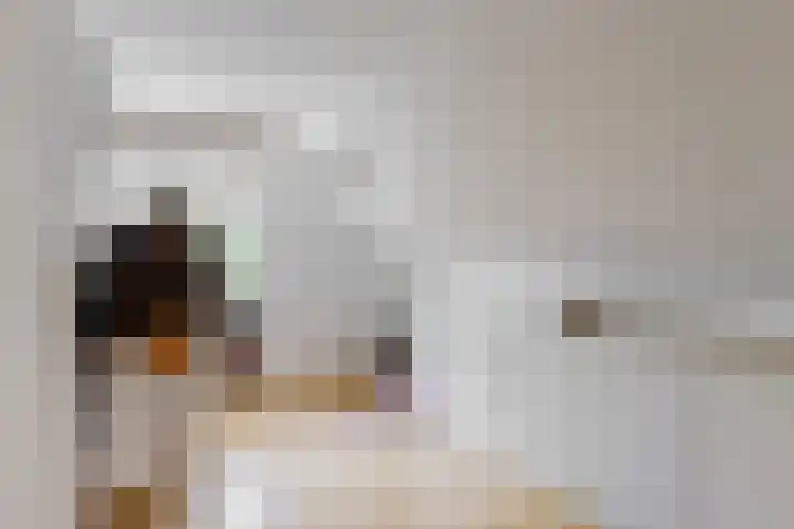 Hoge Bunder 5 Roermond thumbnail 15