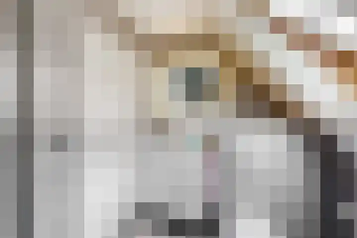 Hoge Bunder 5 Roermond thumbnail 19