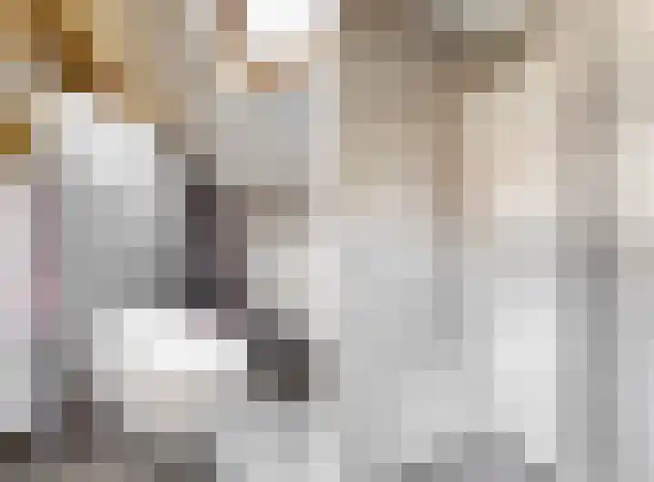 Hoge Bunder 5 Roermond thumbnail 21