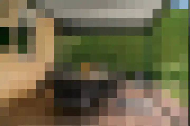 Hoge Bunder 5 Roermond thumbnail 26
