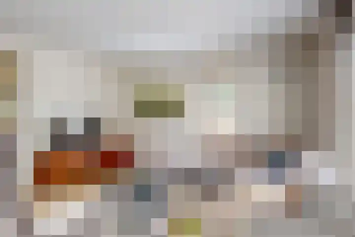 Hoge Bunder 5 Roermond thumbnail 4