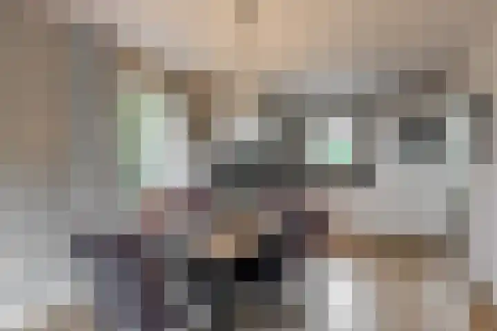 Hoge Bunder 5 Roermond thumbnail 5