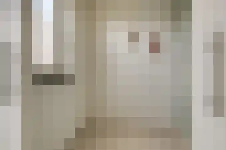 Hoge Daalakker 14 Bavel thumbnail 11