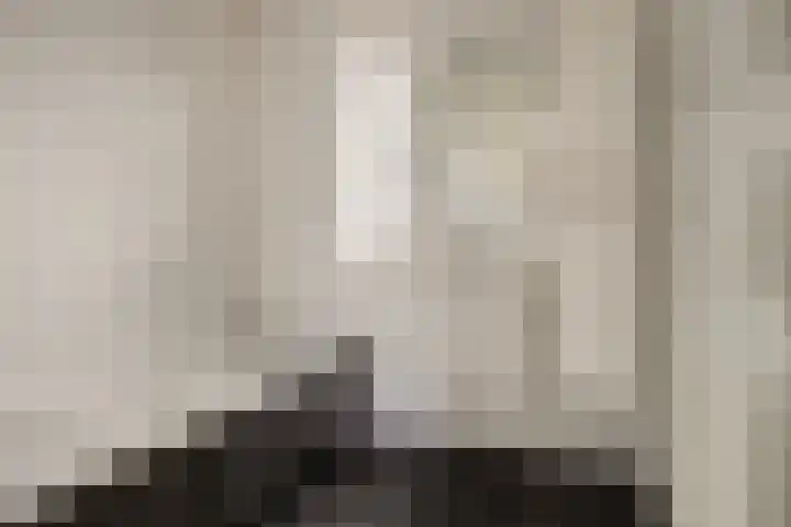 Hoge Daalakker 14 Bavel thumbnail 16