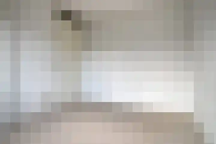 Hoge Daalakker 14 Bavel thumbnail 18