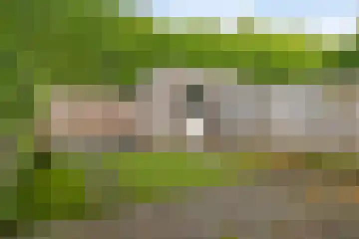 Hoge Daalakker 14 Bavel thumbnail 21