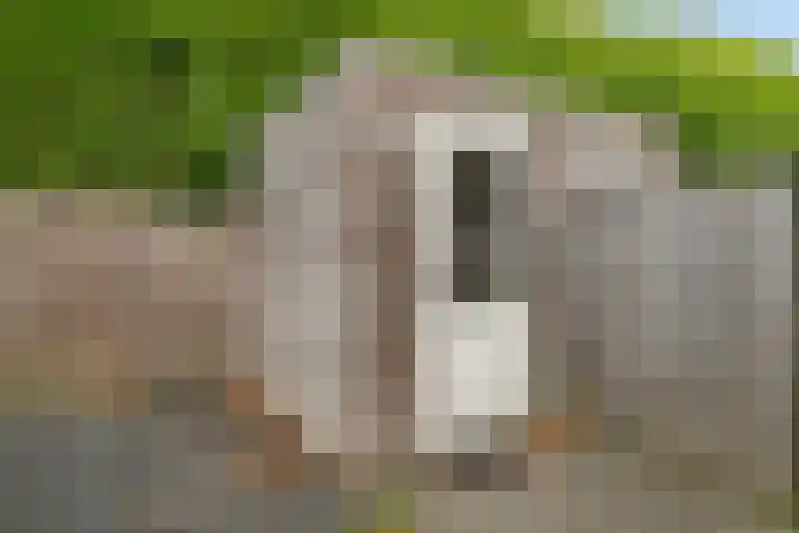 Hoge Daalakker 14 Bavel thumbnail 22