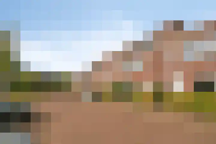 Hoge Daalakker 14 Bavel thumbnail 24
