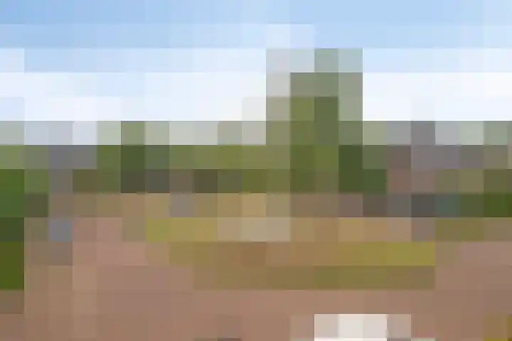 Hoge Daalakker 14 Bavel thumbnail 25