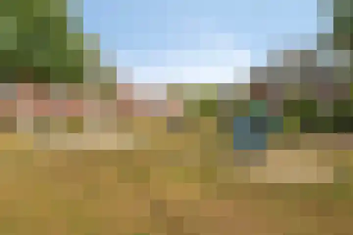 Hoge Daalakker 14 Bavel thumbnail 26