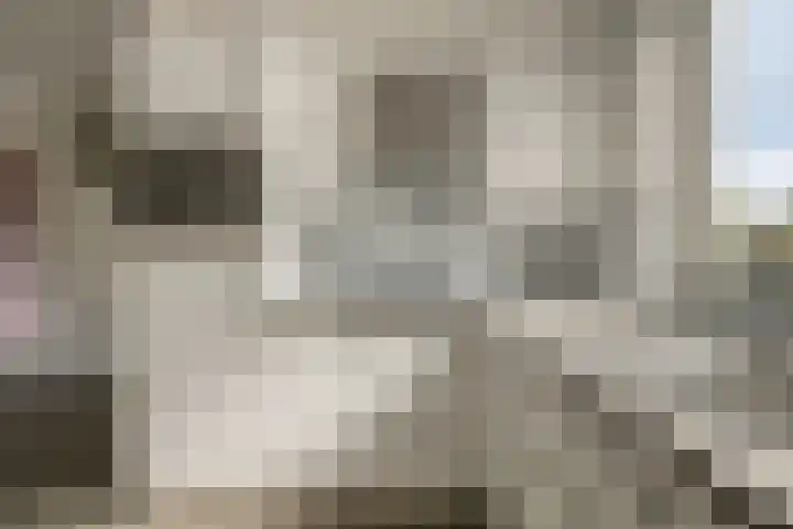Hoge Daalakker 14 Bavel thumbnail 28