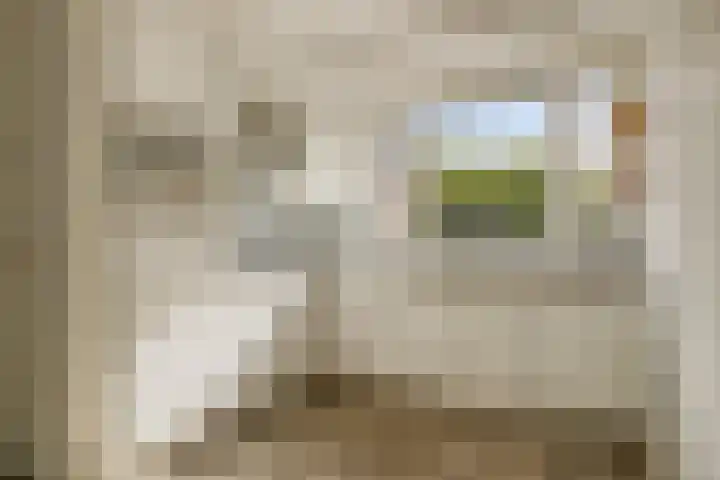 Hoge Daalakker 14 Bavel foto 3
