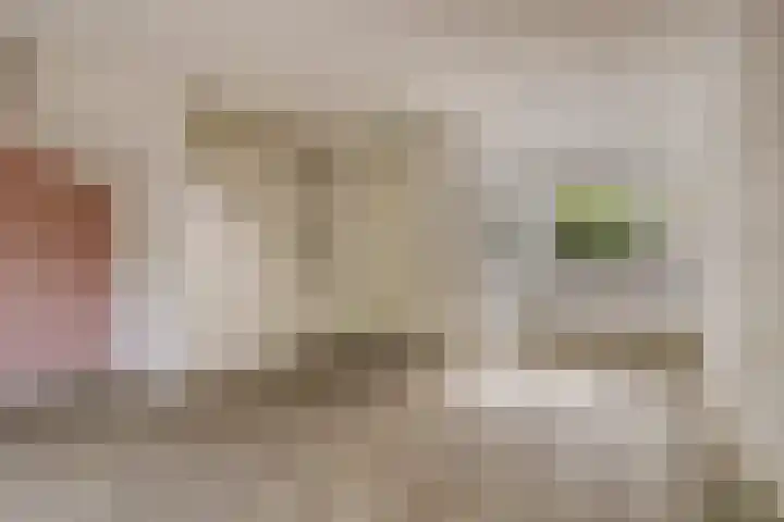 Hoge Daalakker 14 Bavel thumbnail 5