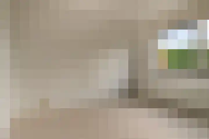 Hoge Daalakker 14 Bavel thumbnail 9