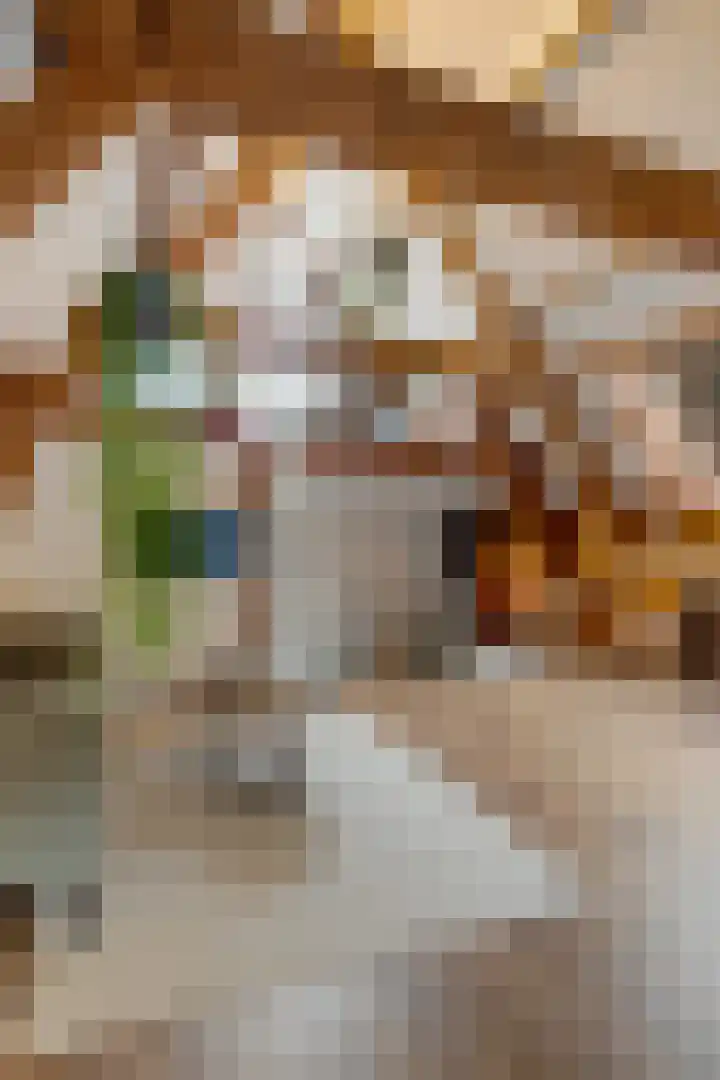 Hoge der A 24 5 Groningen thumbnail 12