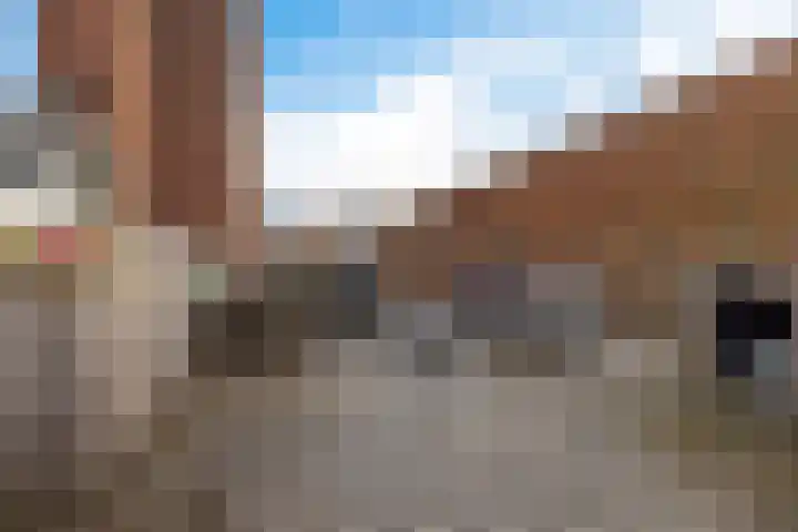 Hoge der A 24 5 Groningen thumbnail 16