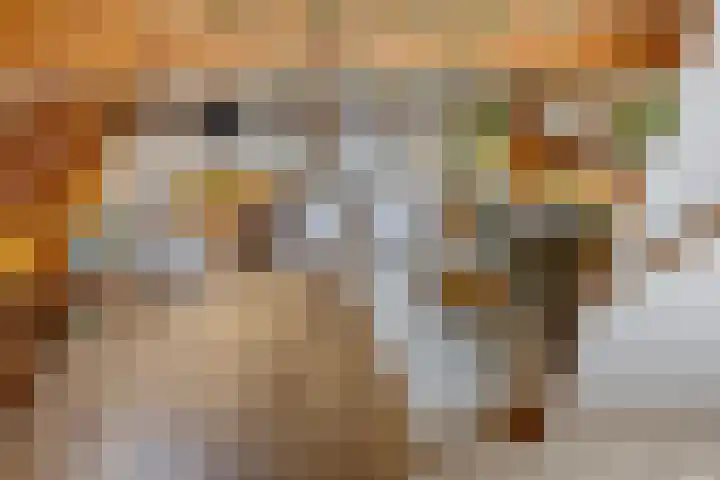Hoge der A 24 5 Groningen thumbnail 21