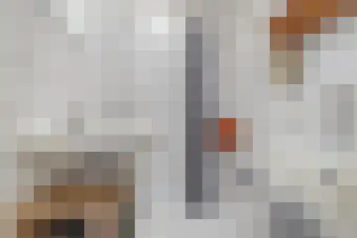 Hoge der A 24 5 Groningen thumbnail 31