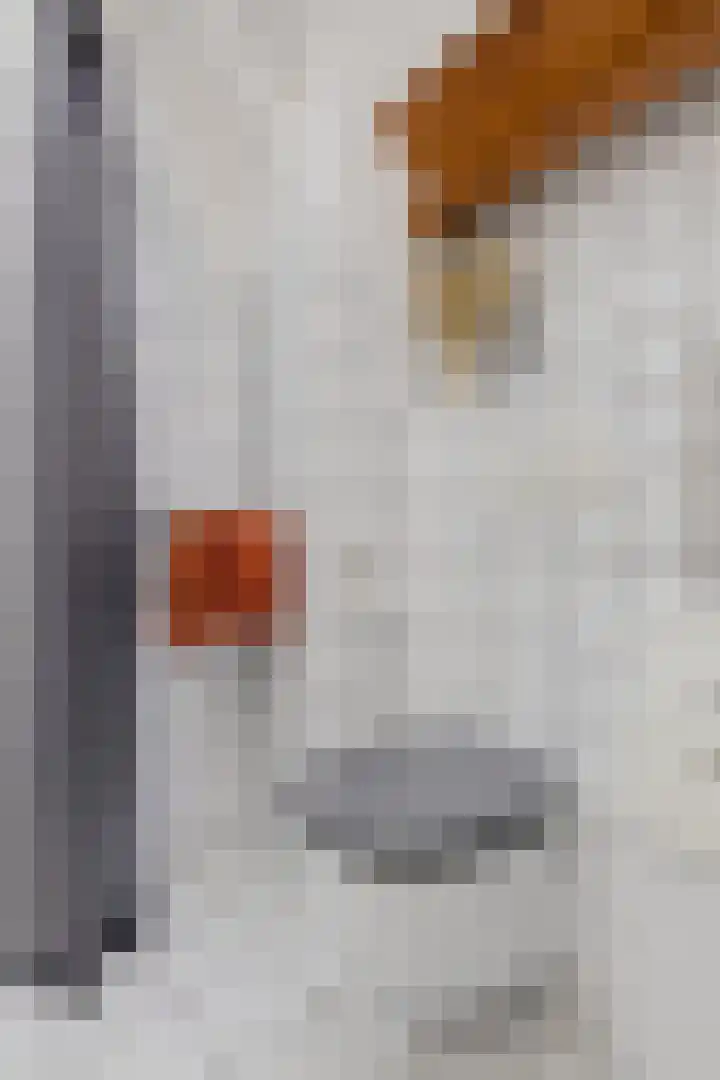 Hoge der A 24 5 Groningen thumbnail 32