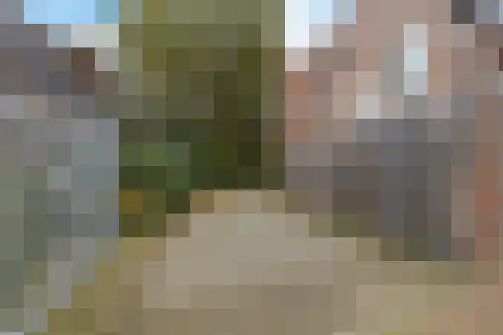 Hoge der A 24 5 Groningen thumbnail 35