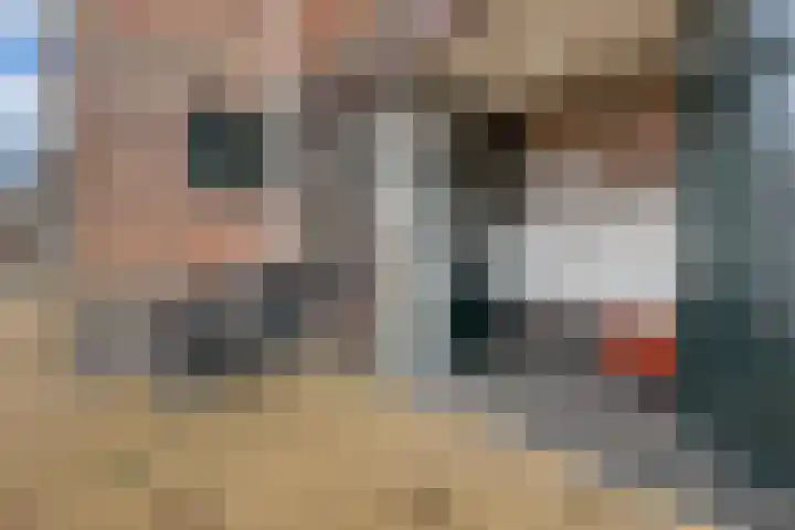 Hoge der A 24 5 Groningen thumbnail 37