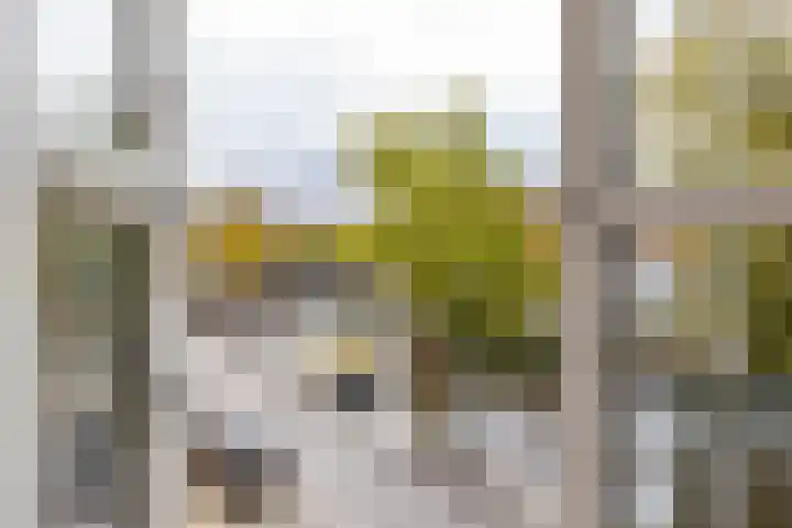 Hoge der A 28 a Groningen thumbnail 14
