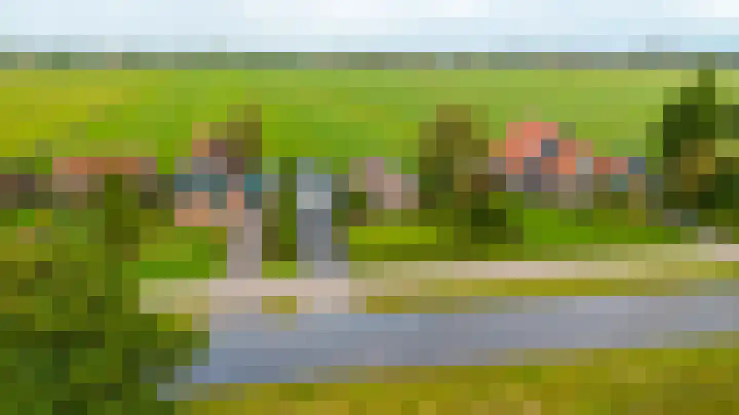Hoge Dijk 166 Rotsterhaule thumbnail 10