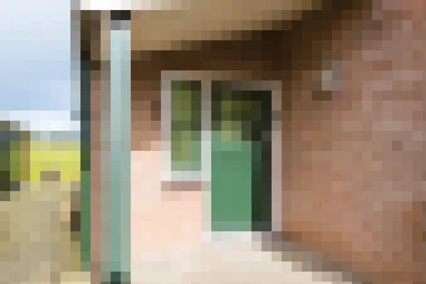 Hoge Dijk 166 Rotsterhaule thumbnail 11