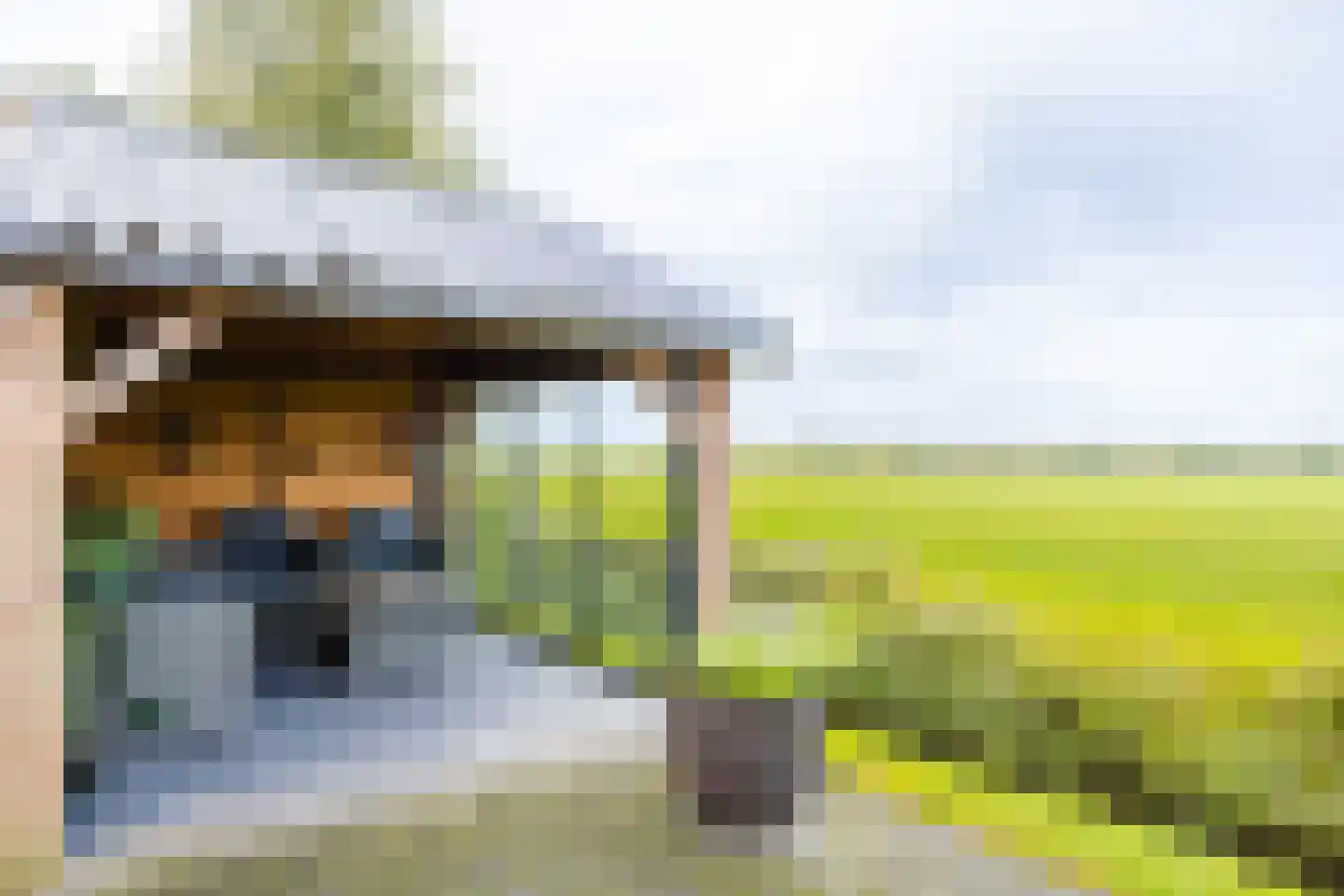 Hoge Dijk 166 Rotsterhaule thumbnail 33