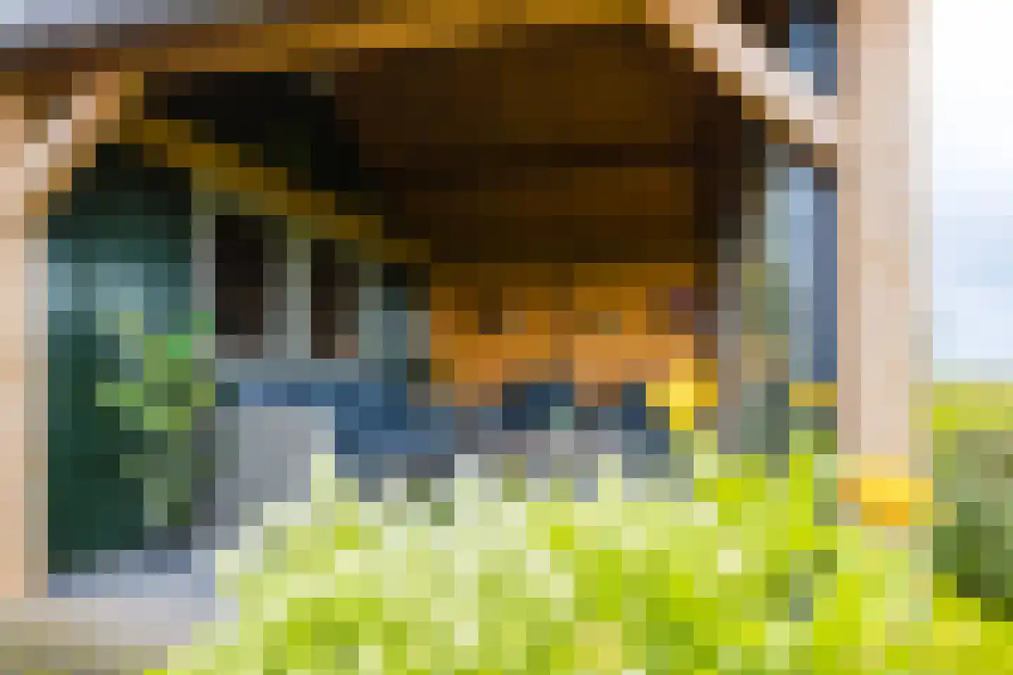 Hoge Dijk 166 Rotsterhaule thumbnail 34