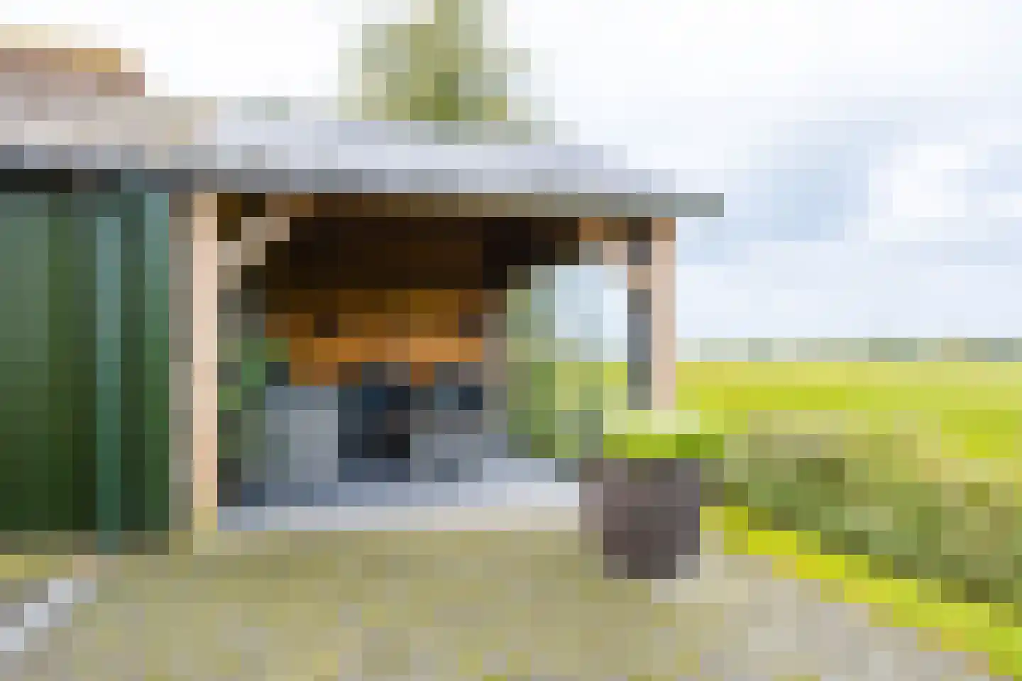 Hoge Dijk 166 Rotsterhaule thumbnail 35