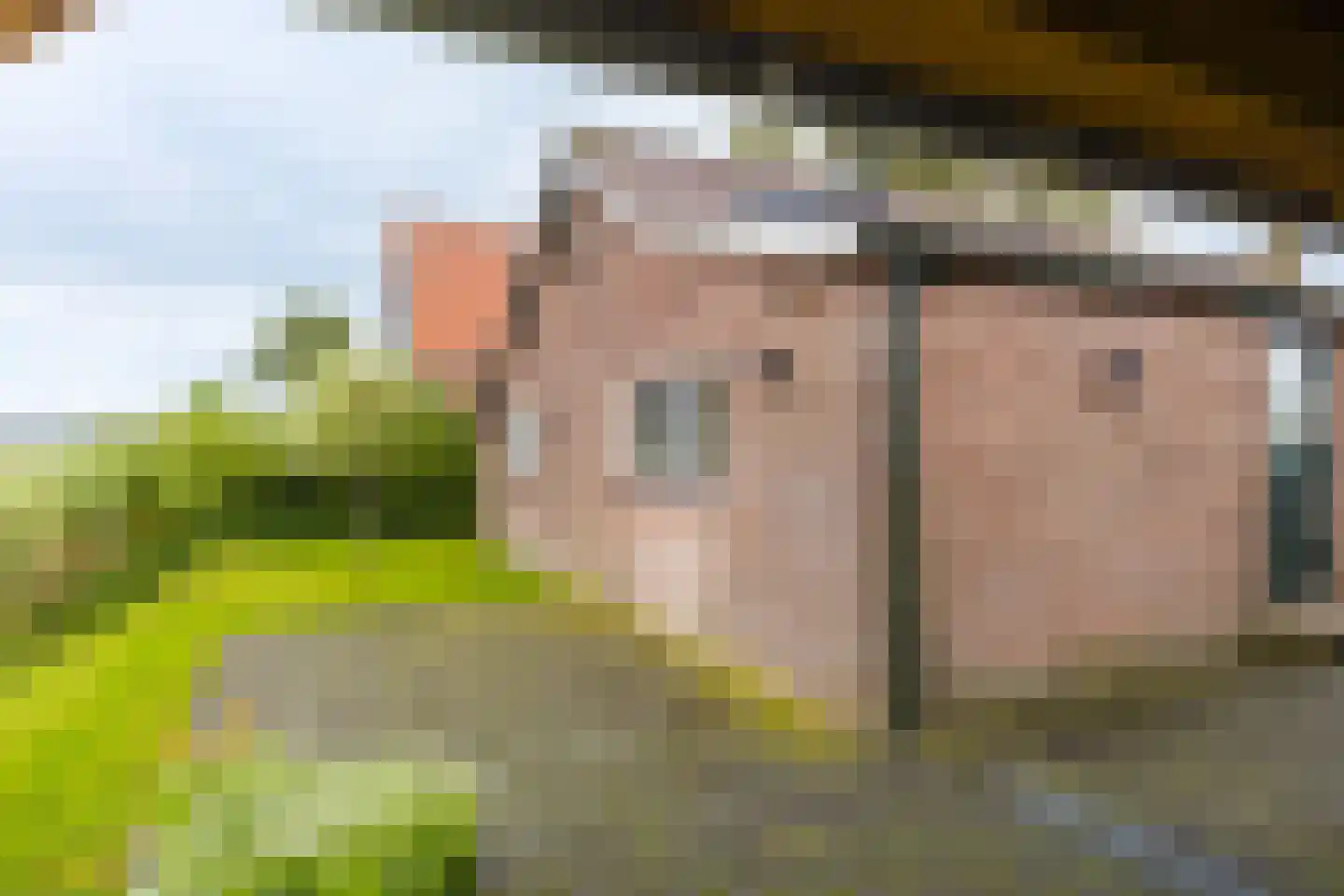 Hoge Dijk 166 Rotsterhaule thumbnail 38
