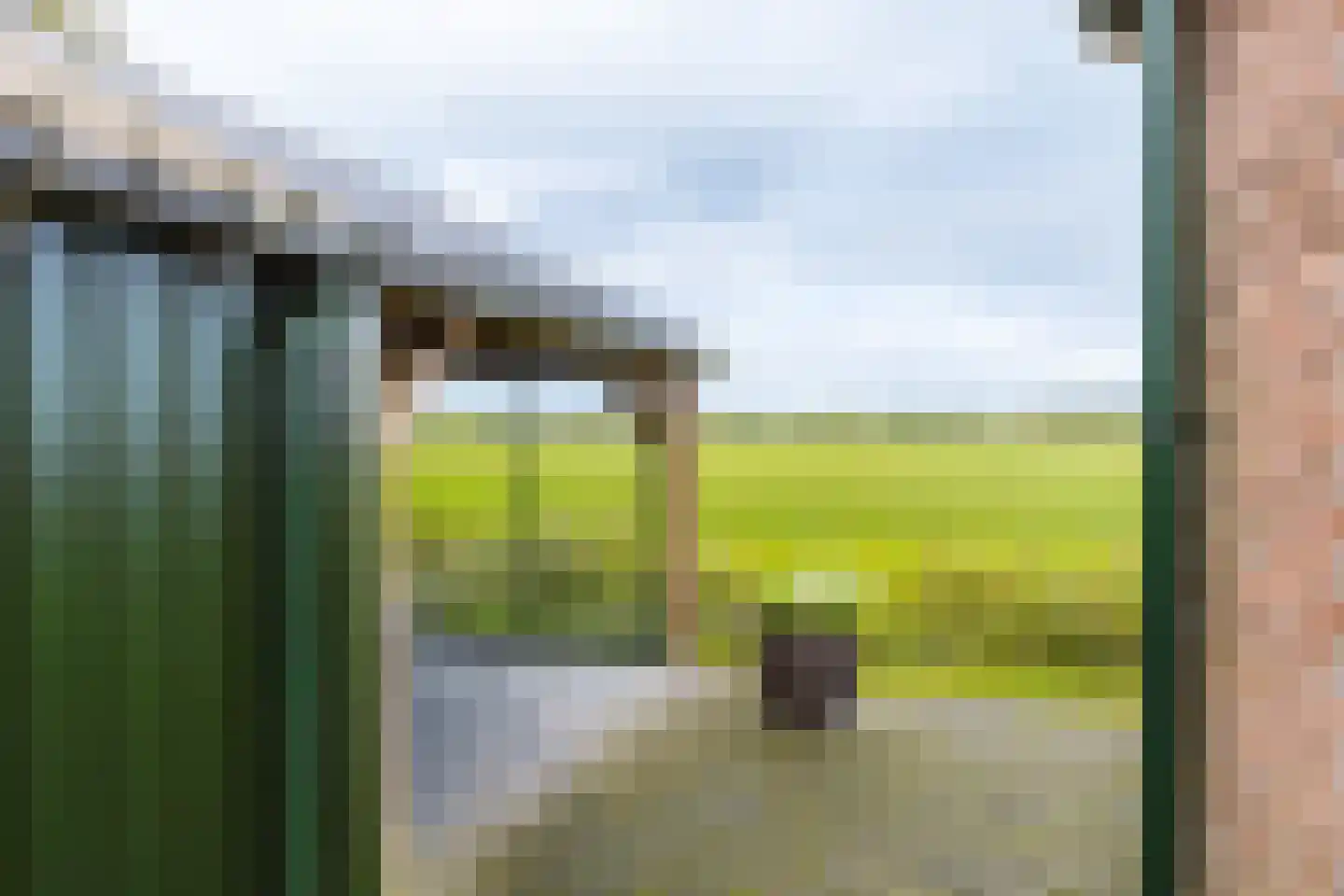 Hoge Dijk 166 Rotsterhaule thumbnail 39