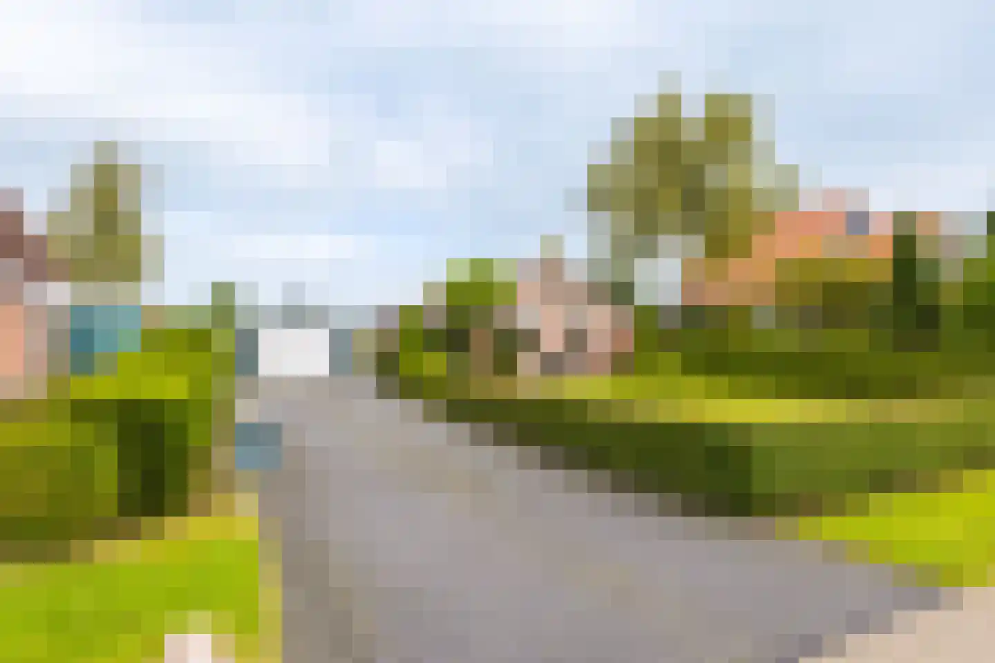 Hoge Dijk 166 Rotsterhaule thumbnail 4