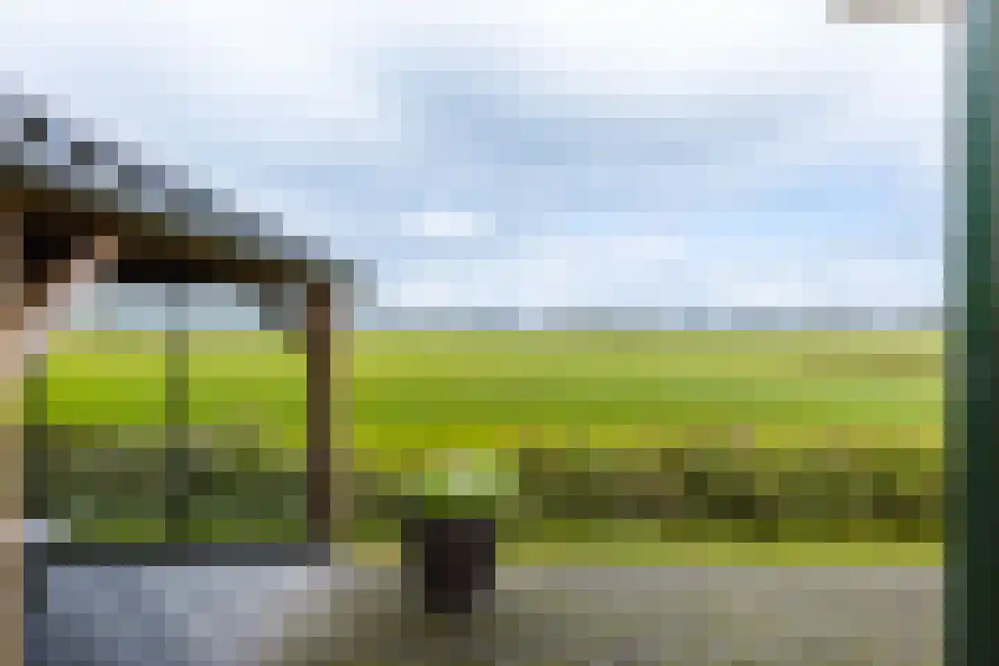 Hoge Dijk 166 Rotsterhaule thumbnail 40