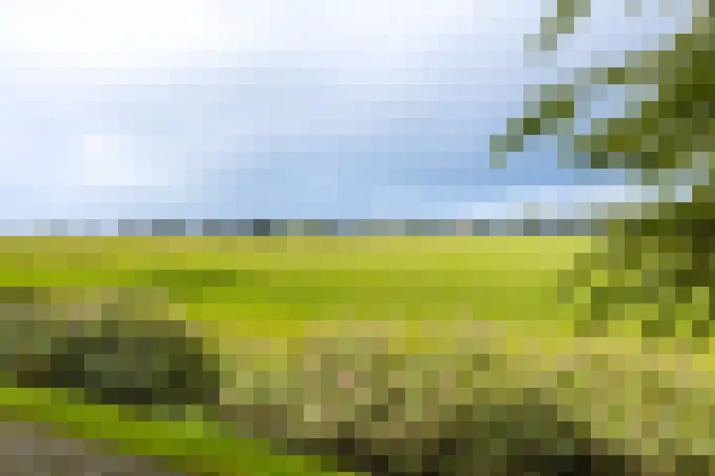 Hoge Dijk 166 Rotsterhaule thumbnail 43