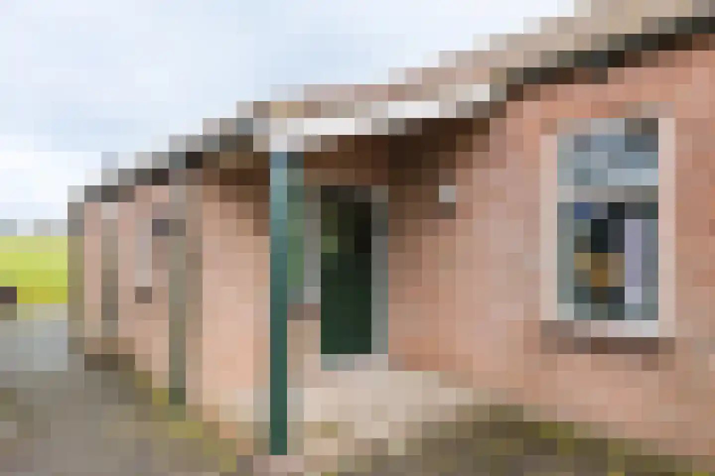 Hoge Dijk 166 Rotsterhaule thumbnail 8