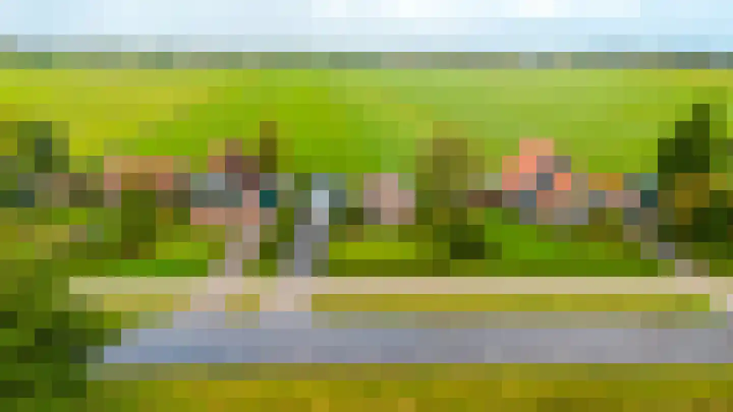 Hoge Dijk 166 Rotsterhaule thumbnail 9