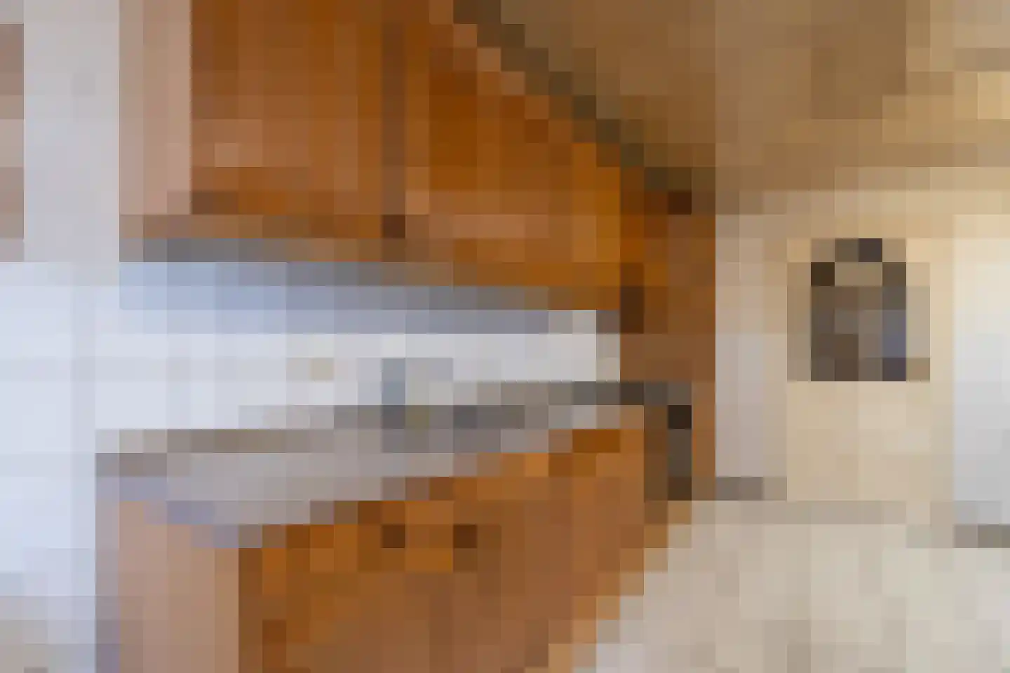 Hoge Dijk 26 Oosteind thumbnail 11