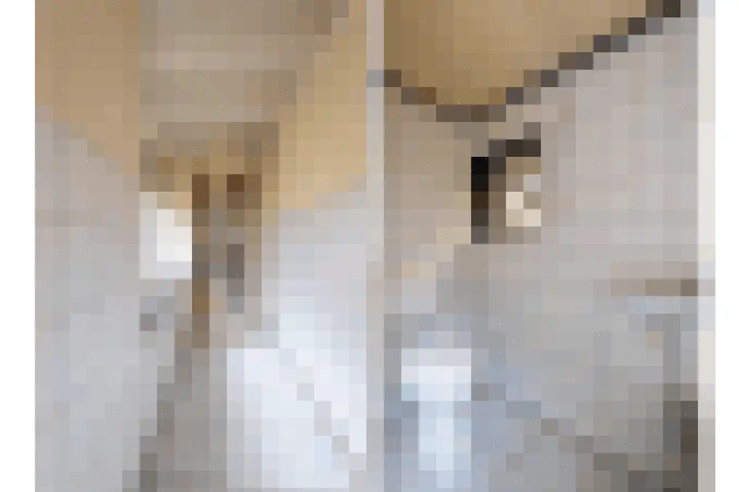 Hoge Dijk 26 Oosteind thumbnail 13
