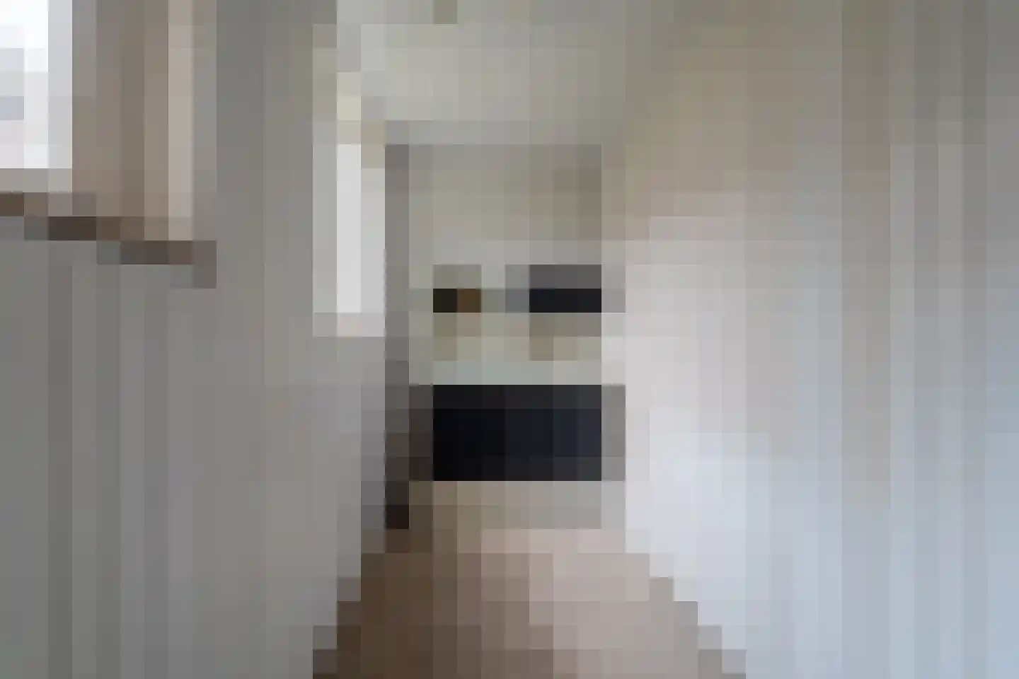 Hoge Dijk 26 Oosteind thumbnail 14