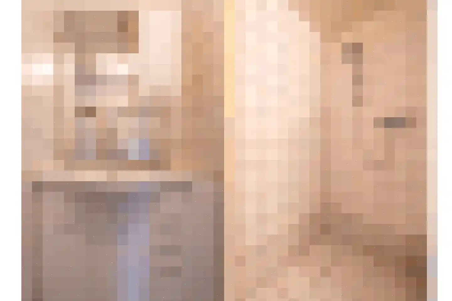 Hoge Dijk 26 Oosteind thumbnail 17